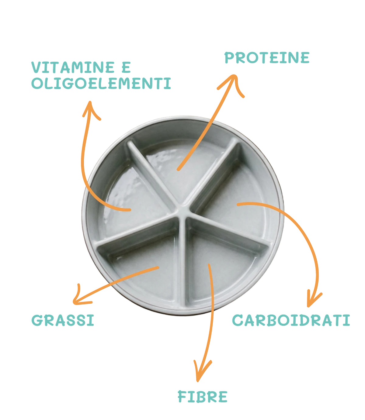 Ciotola BuddyChef - proteine, carboidrati, fibre, grassi, vitamine e oligoelementi